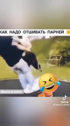 Пошлю его за звездочкой