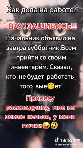 82eed3326acf1d9e90455b3bb6ea294c_1743162799748