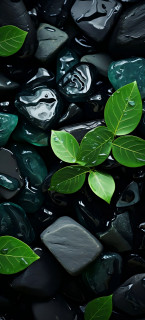 qQaEpOmJefMaWCPHXNhA_9cUlX8FWuV8LG5-shclCWjqnLp9i8-qEgEM2Q86sBe8J34-sOu51PoCBnO2D6f39tpP