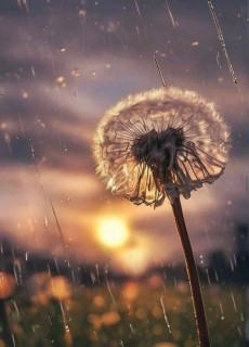 bI0_Xc0bMmxFGoGkihXwxlgt-uRCleDty-vDkSgCBUd6PelrwGu1QlNrFQGXr5YJVcJeZeYfhEIf65coOuQclv