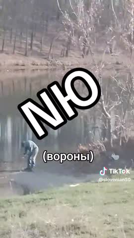 01f52b9a9f72cc2eee3c2f8f2dc8da2b_1743241906622