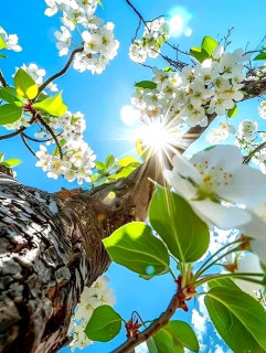 V6QkYL3FA0QDq_UOB2sQRE8k5ku6o3jJJNxwQr2xKsPRaecu_zWoh18jTLdnScVX-2CnE7HWCTazTQqk-A0hOwMZ