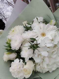 IMG_20250330_153315_976