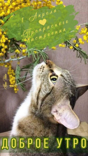 IMG_20250401_040600_047