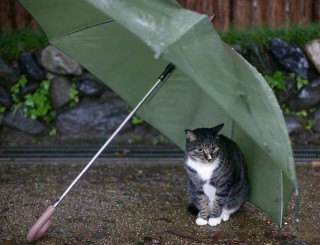 IMG_20250401_063612_360