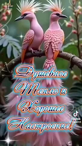 Красота