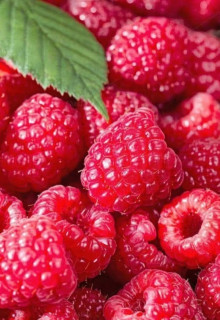 -QJBleBTiiaslQnvCt9YAvZQWlbR0n0UdjWO4uhMPcQqmFkgG0WofY9Z5ji2P2kq1gWyCFn47SW5Vs78i6Nd0Lm-