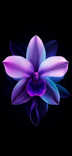 Kk7-U3RGKPq3sKv3etmMlZ4IXsH-7SIVAnSS6Hy-qHRIRq8dEWcC6iaWcehOwtiiLWvZKVNg7wXyaQ2cR73MXG2M