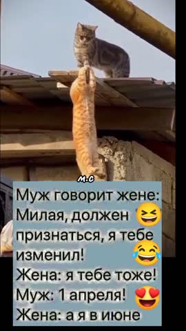 Муж жене признался