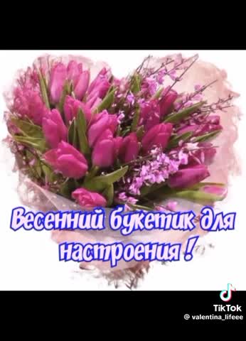 video-5162822fd7c9b304d64c67a7dc8fe62a-V