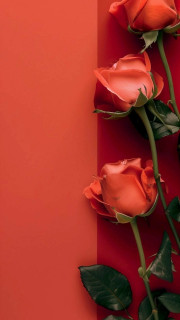 hbWfZCBuVv29yRGV_yq60IxmGIV1WdC1KYyCghR1zJ0cBX508G_NK7A59jkKCO3XnPANTd8flCkFhhSolKbZinFe