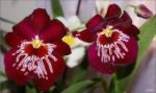 images-34