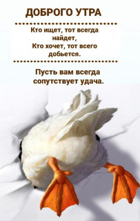 IMG_20250409_060041_794