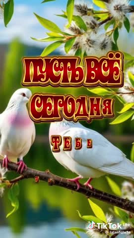 Foiz_PRO_9dc3b9403da8c220476870b2abf48d09_1744170261006