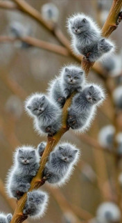 2025-04-09-13-57-17-342