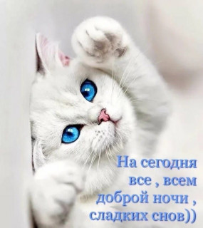 IMG_20250409_212459_406