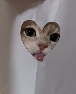 XranNYojH_r81d7hRthSraUg5nYVZ3uecEOFEXSW52RfQGdO2ffmkTjFdVVXnx7sWNMM9pNq0zX4Tsp-kmkoQpPu