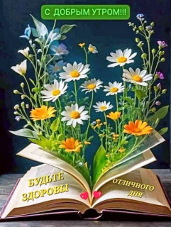 IMG_20250410_071412_284