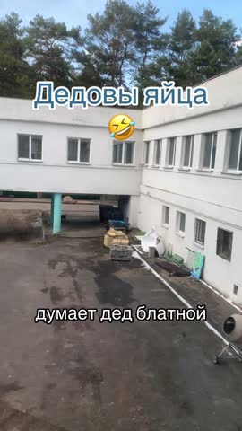 Дедовы яйца