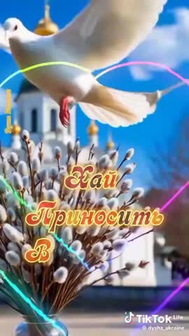 VID_20250413_082107_153