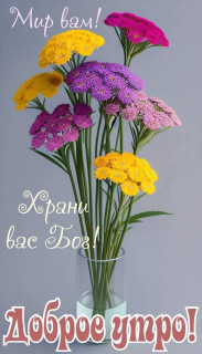 IMG-20250407-WA0000