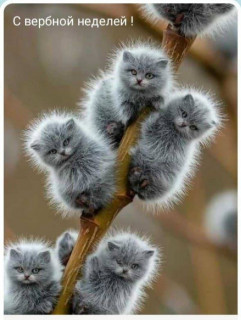 С_Вербной_неделей_