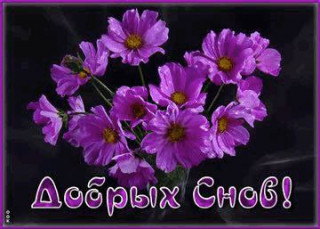 IMG_20250415_185855_912