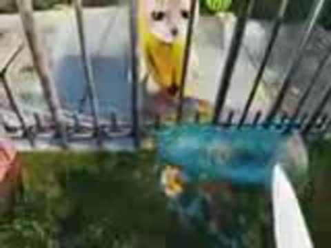 Банановый_Кот_-_Воды