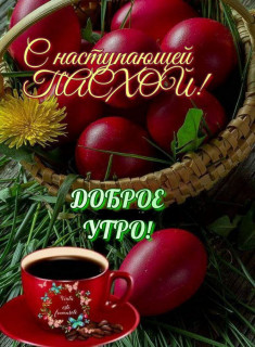 IMG_20250419_072859_118