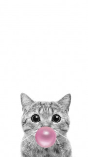 aPm7LoqSiGNswsRthFB8BTYPKD_AZv9APQ7PY6c0E3joFACIjSaLWjJHVJLPUfOSimT7iY9BZTmeqg_6f7PljHeV