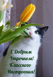 IMG_20250423_064247_319