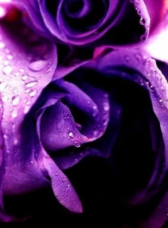 m6cr8L88-F3W9urYr1bdd3Af1Lgx4dZYnIKAP0NE1_CYqevIUpEE3aw1mUvYSzEwVWHq6GJwuRowvcp_MUB_zQUa