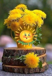 IMG_20250424_071750_278