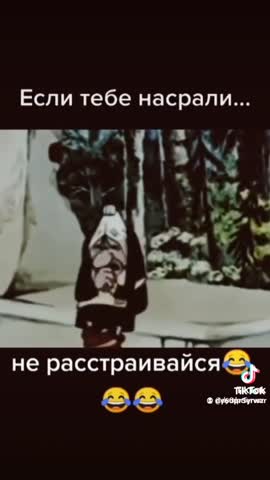 7824fba1303d4e2f2c4694a108b2cb2c