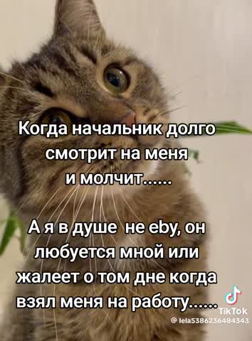 dfb07a792c4c17d44d01103e4c147c0f
