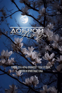 IMG_20250425_202219_980