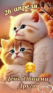 IMG_20250426_060229_174