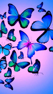 _r0rMhhUMWSK8Qj3T4tYYrXewOBi8hMIBZr6LkTY5lu2Kz2A2s46C7l3_1cdGQVw86bu5-6SeqMZqiOO7vDg-SxJ