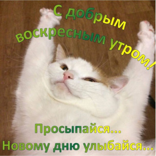 Foiz_PRO_42ef505949068899fc7f19739d76bac5