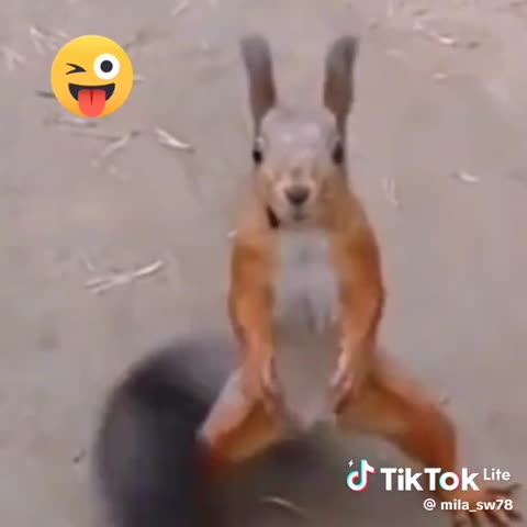 4a046e3110edeb278f8093d69b529f5c_1745776417696