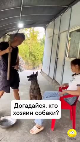 Dogadajsja____-world79_spcs_bio