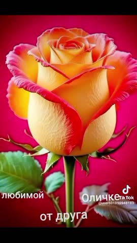 f39bf1bb72201d8e89e11e639376ad0d