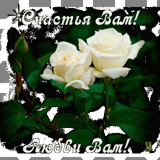 Schastya_Vam_33_Lyubvi_Vam_33