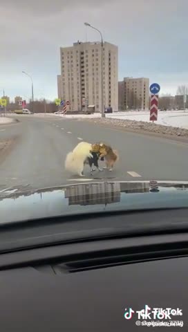 b742bbec842cbd40fb98a0ec082b3f09_1746207583838