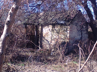 IMG_2025-03-18-11-50-18-340