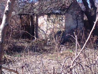 IMG_2025-03-18-11-50-19-983