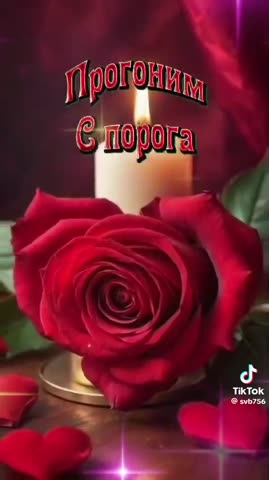 Foiz_PRO_3a84a50f15d3c36ad82d5f286c820066