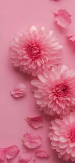 CPKhf9VmkJTdGLH_b0kdODs56pSj0KXtniYzlL5RdMpFf4ohlg91J7pxQk6eFrO0ktVq8Y5UN6NGutLKbtUpTkTi