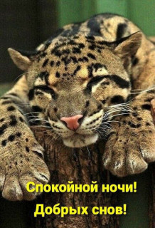 IMG_20250505_183041_728