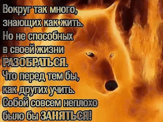 IMG_20180429_215807_2